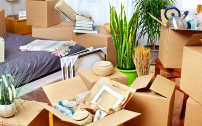 3 Purchases to Make When You Move Out For the First Time