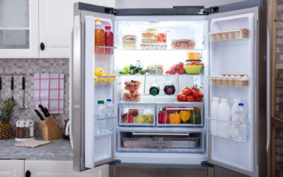 Top 2023 Refrigerators to Finance Today